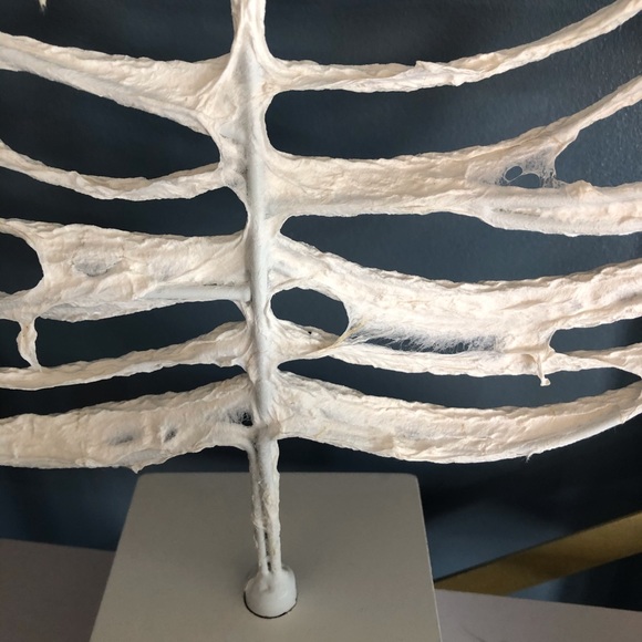 Scott Living white leaf stand NWT - Picture 3 of 3